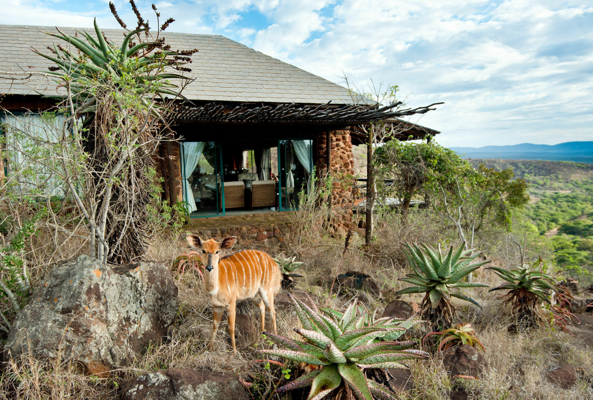 Leopard Mountain Safari Lodge Manyoni Private Game Reserve Buitenkant foto