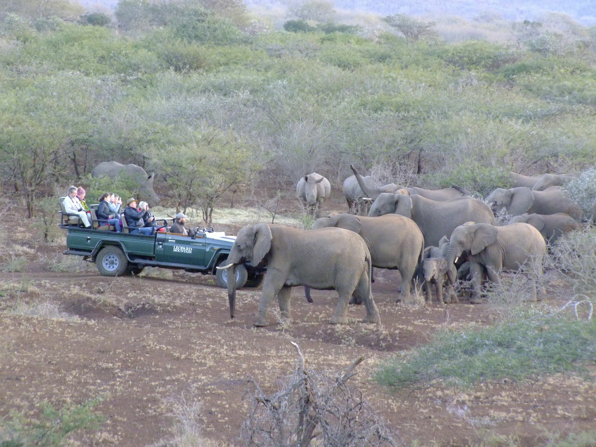 Leopard Mountain Safari Lodge Manyoni Private Game Reserve Buitenkant foto